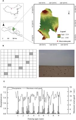 Succession of a natural desert vegetation community after long-term fencing at the edge of a desert oasis in northwest China